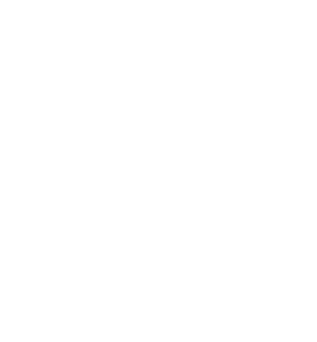 The Construction Partner Shinryo